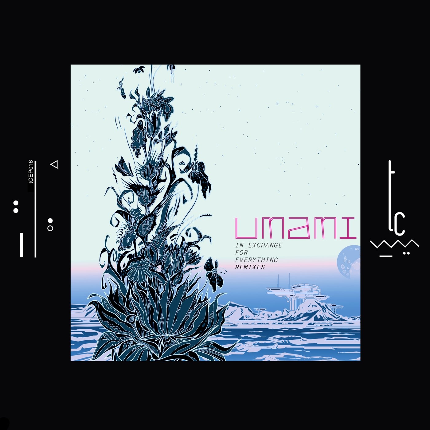 Umami - In Exchange For Everything (Remixes) [TCEP016A]
